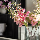 Napa Home Garden, FOX GLOVE 24" STEM FUCHSIA,cc246pkd