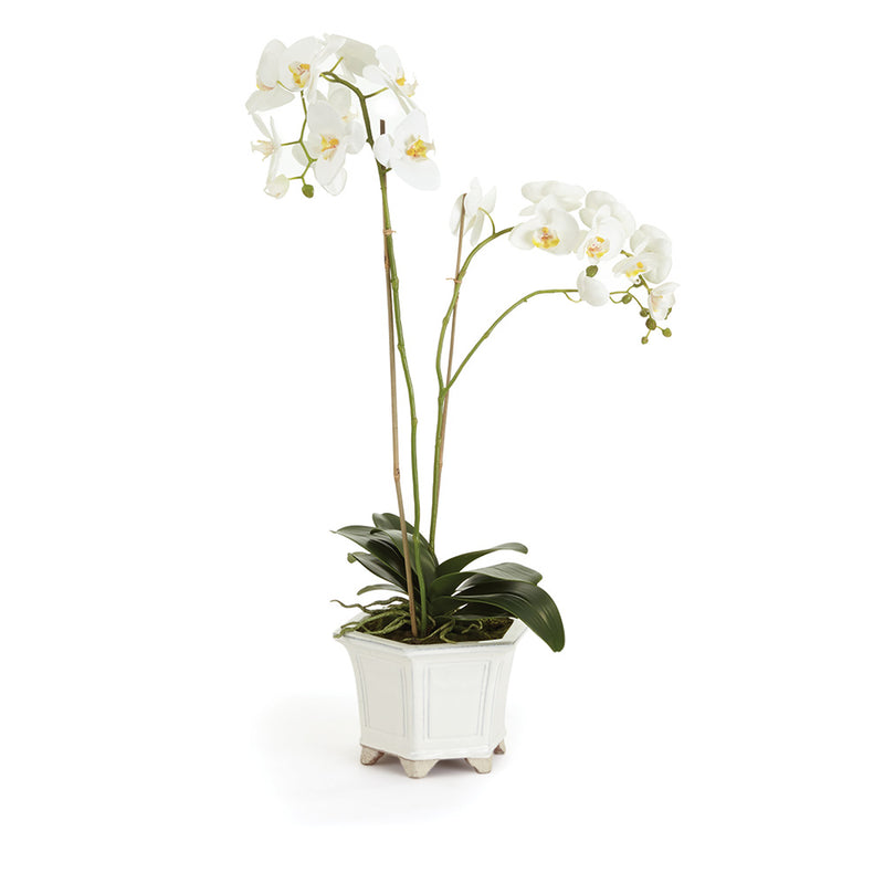NAPA Home & Garden, BARCLAY BUTERA PHALAENOPSIS IN CERAMIC POT 31",CC250