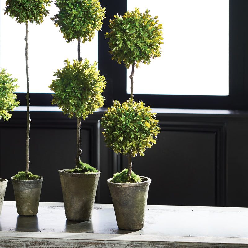 NAPA Home & Garden, BARCLAY BUTERA FAUX BOXWOOD TOPIARY POTTED 25",CC256