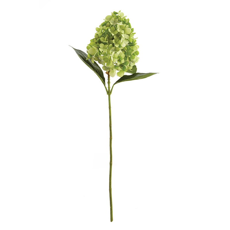 Napa Home Garden, CONE HYDRANGEA STEM 28" GREEN,cc291gr