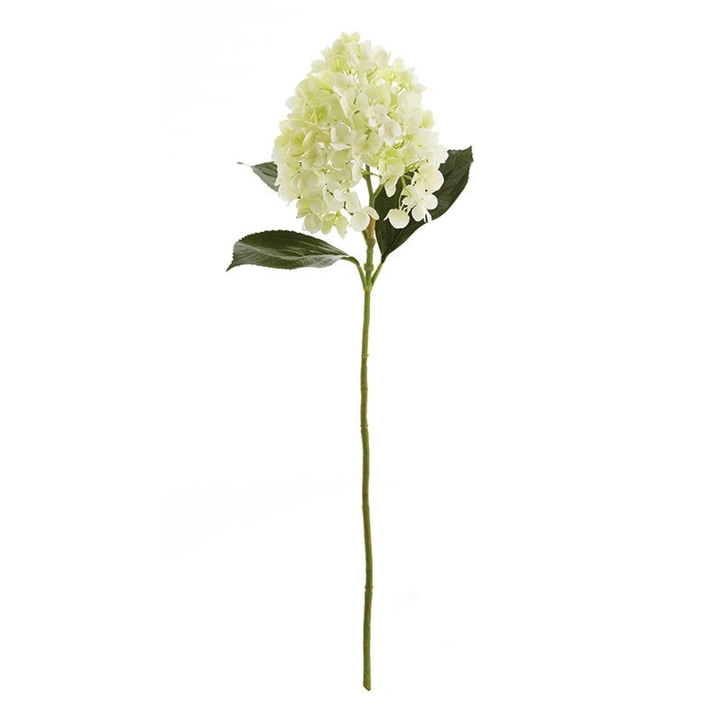 Napa Home Garden, CONE HYDRANGEA STEM 28" WHITE,cc291wh