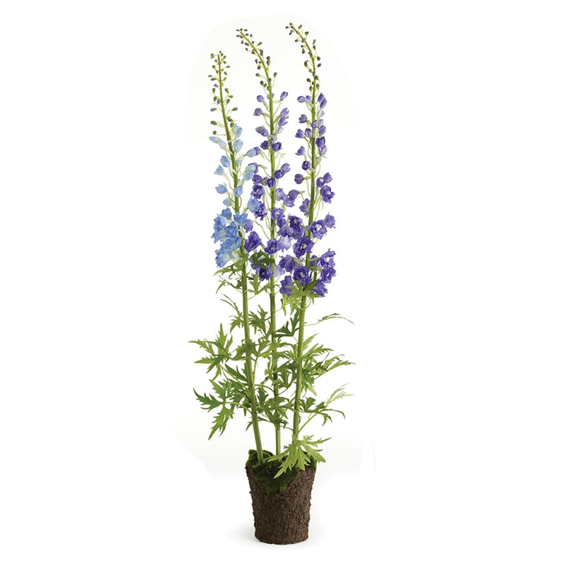 Napa Home Garden, DELPHINIUM DROP-IN 53" BLUE,cc301