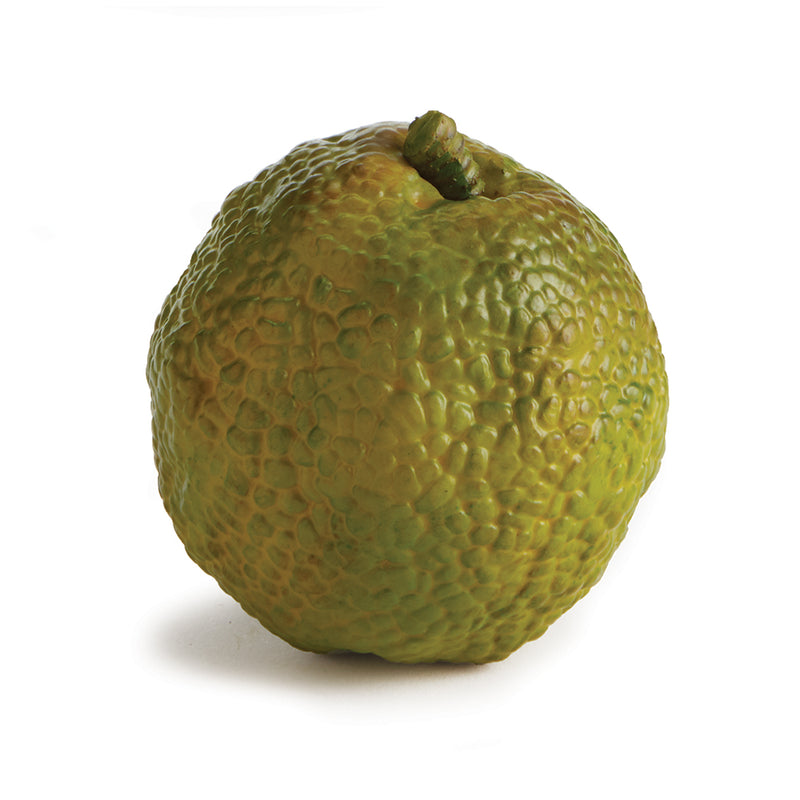 NAPA Home & Garden, HEDGE APPLE 4.5",CC305