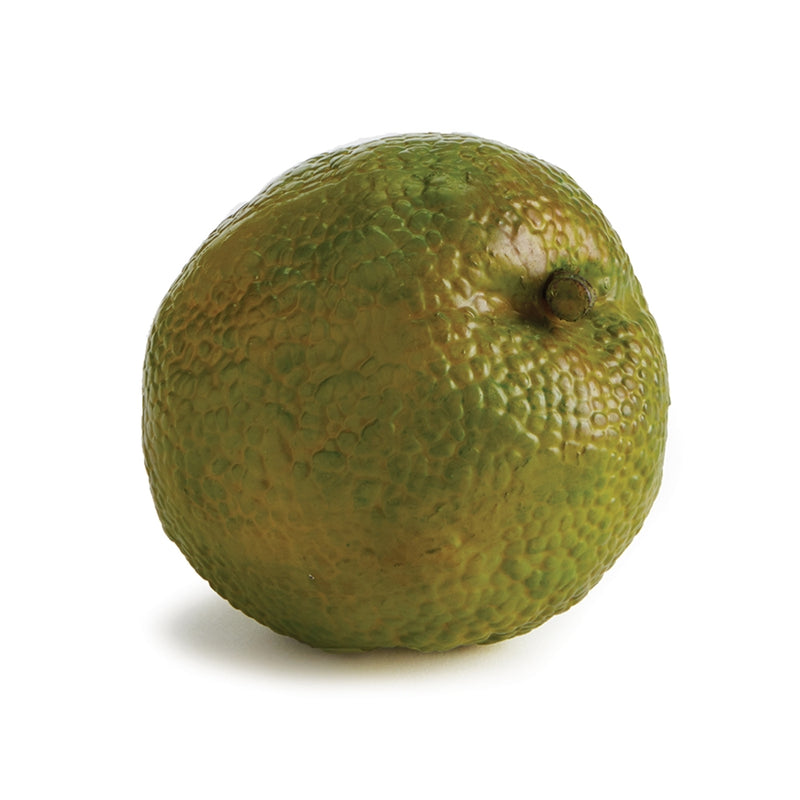 Napa Home Garden, HEDGE APPLE 3.5",cc306