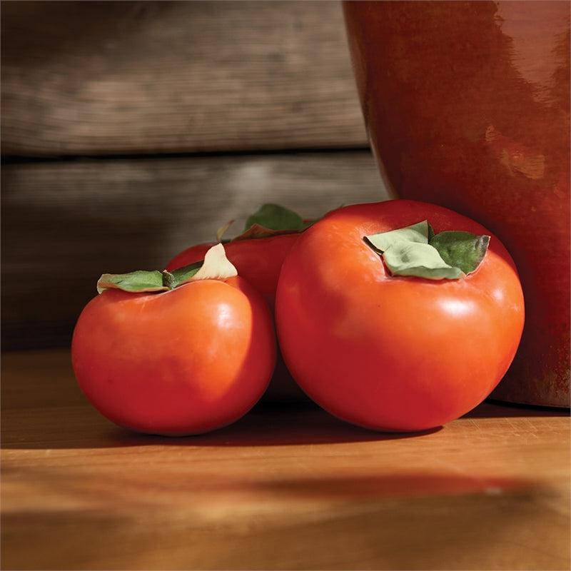 Napa Home Garden, PERSIMMONS ,SET OF 2,cc307