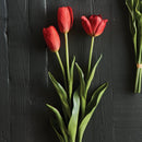 NAPA Home & Garden, FRENCH TULIPS, BUNDLE OF 3