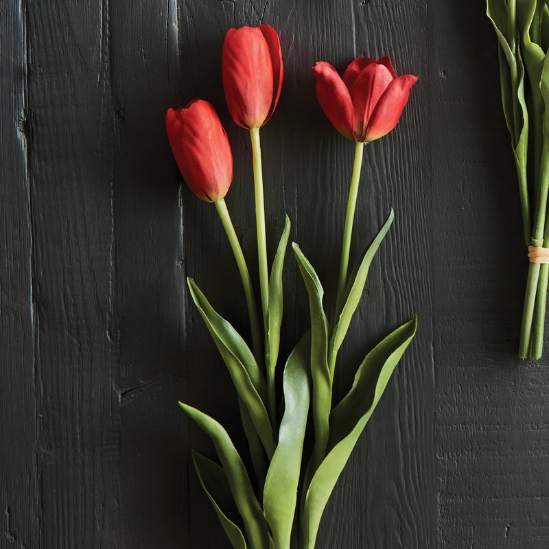 NAPA Home & Garden, FRENCH TULIPS, BUNDLE OF 3