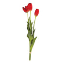 NAPA Home & Garden, FRENCH TULIPS, BUNDLE OF 3