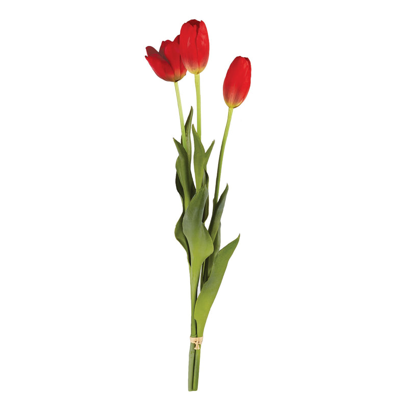 NAPA Home & Garden, FRENCH TULIPS, BUNDLE OF 3