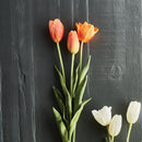 NAPA Home & Garden, FRENCH TULIPS, BUNDLE OF 3