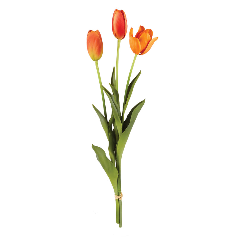 NAPA Home & Garden, FRENCH TULIPS 24", BUNDLE OF 3,CC316RG