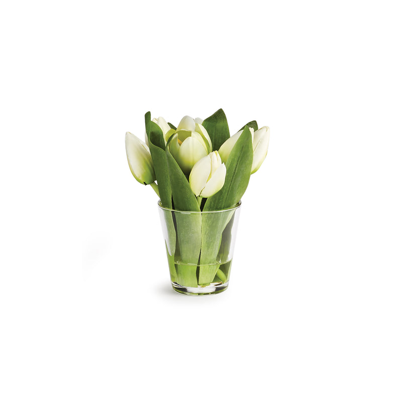 NAPA Home & Garden, DUTCH TULIP ARRANGEMENT IN VASE 7.5",CC319WH