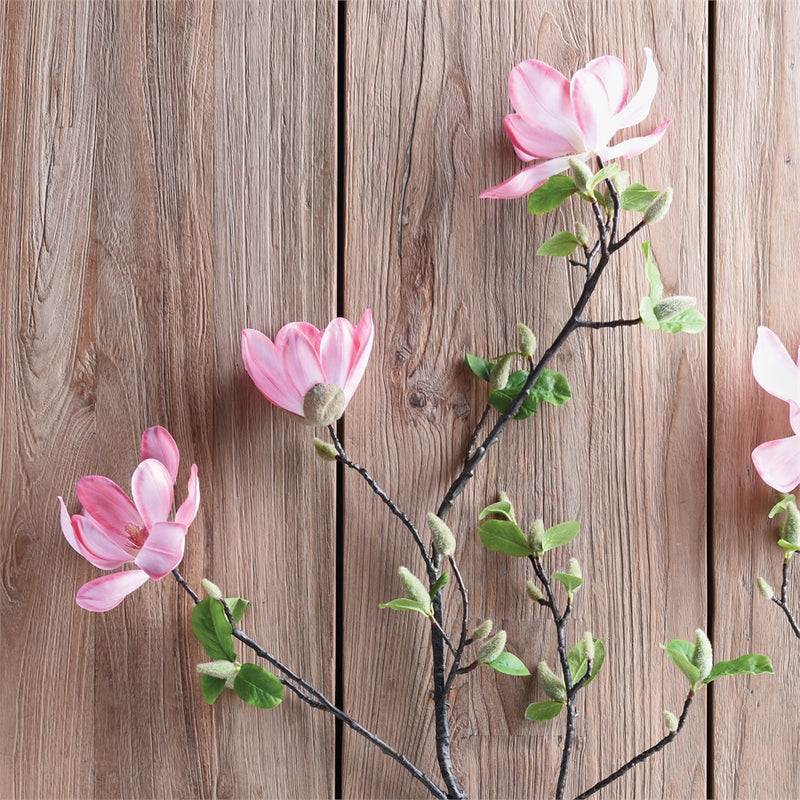 Napa Home Garden, JAPANESE MAGNOLIA BRANCH 54",cc321