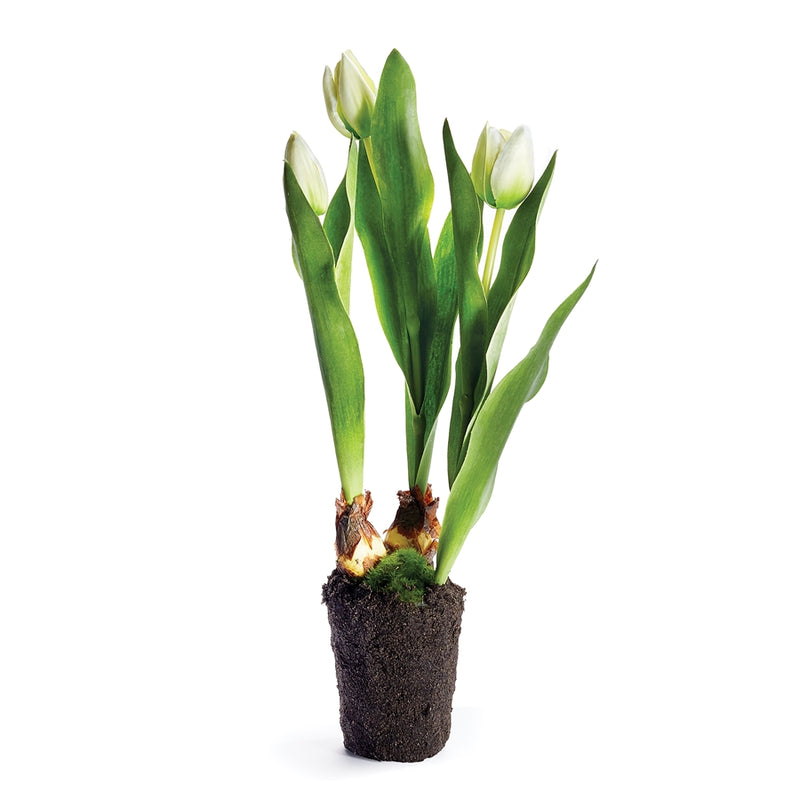 Napa Home Garden, TULIP DROP-IN 18" WHITE,cc324wh