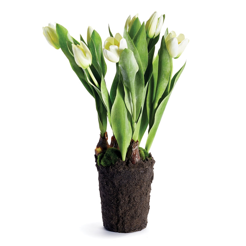 Napa Home Garden, TULIP DROP-IN 22" WHITE,cc325wh