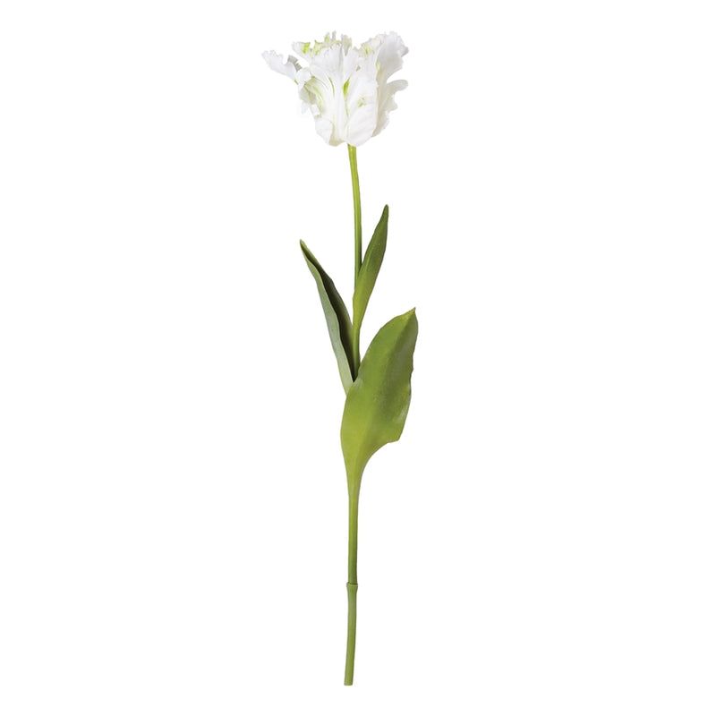 Napa Home Garden, PARROT TULIP STEM 22.5" WHITE,cc327wh