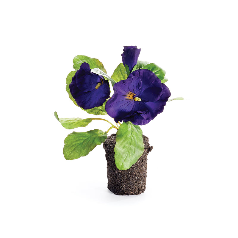 NAPA Home & Garden, PANSY DROP-IN 6.5",CC333PR