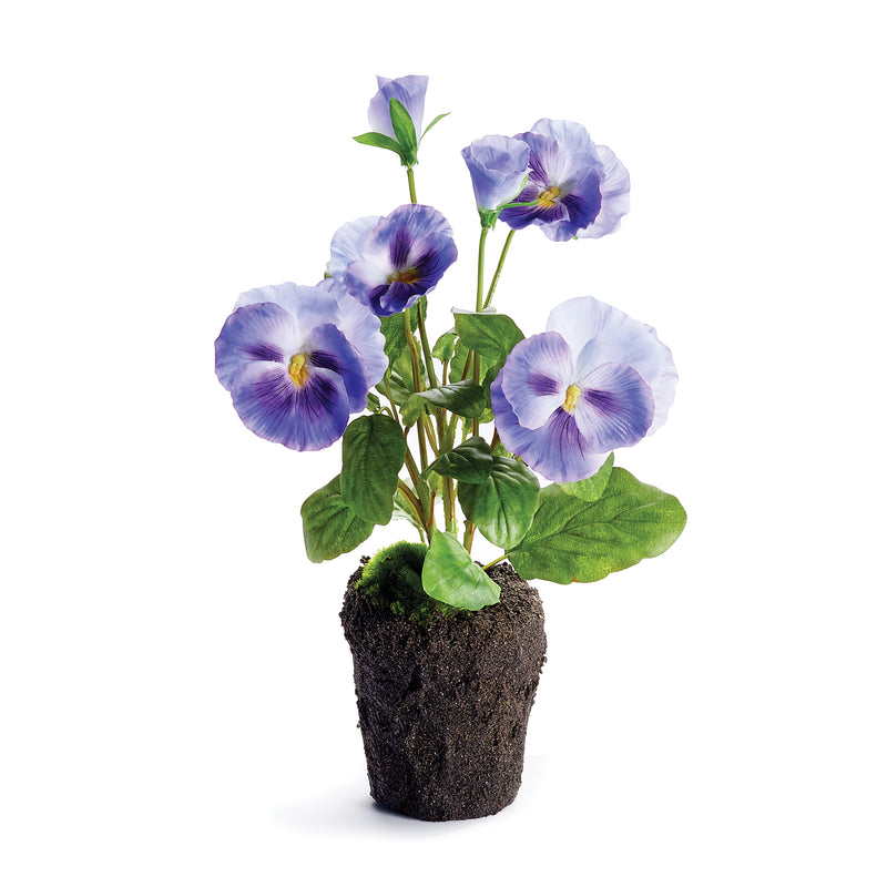 NAPA Home & Garden, PANSY DROP-IN 11.5",CC334BL