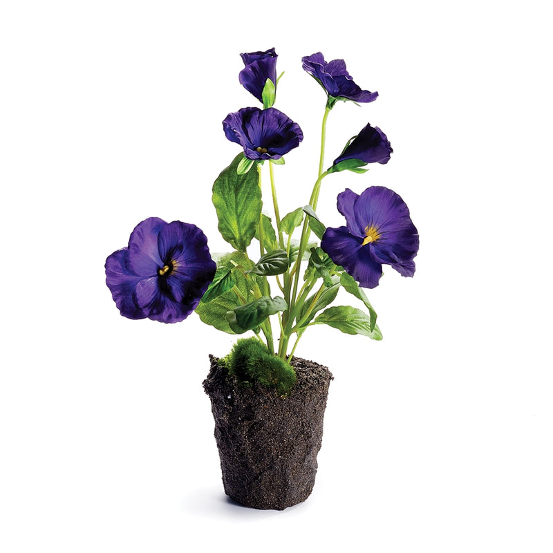 Napa Home Garden, PANSY DROP-N 11.5" PURPLE,cc334prd