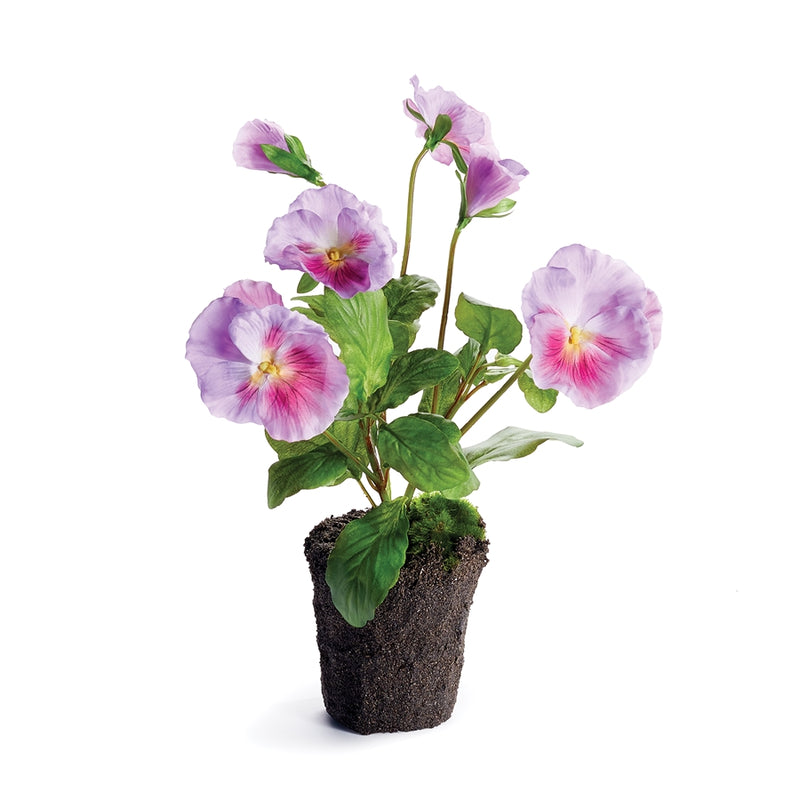 Napa Home Garden, PANSY DROP-IN 11.5" LILAC,cc334prl