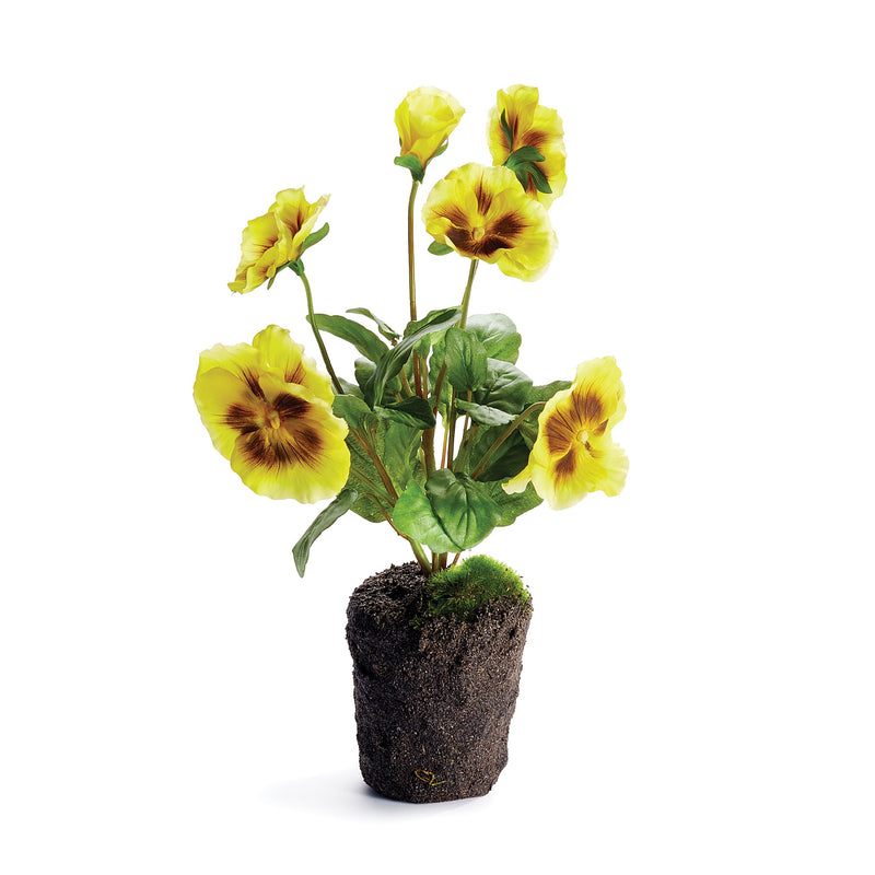 NAPA Home & Garden, PANSY DROP-IN Collection