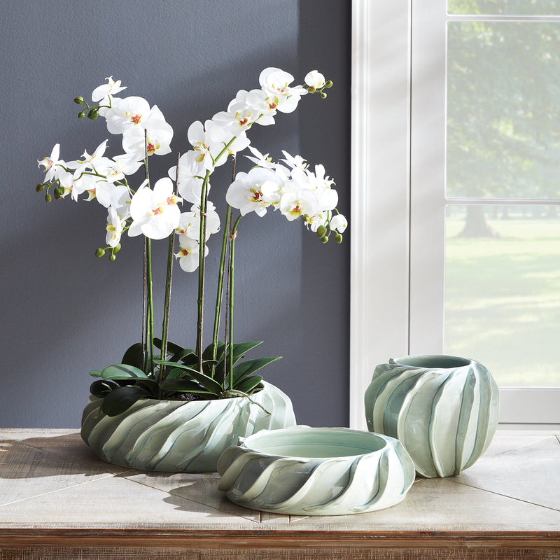 "NAPA Home & Garden, PHALAENOPSIS ORCHID DROP-IN COLLECTION"