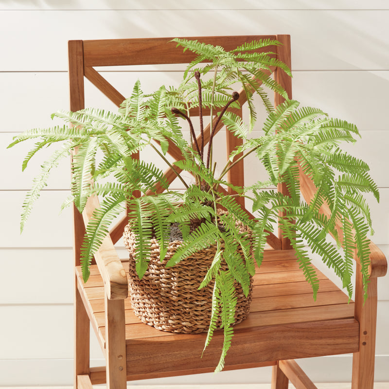 NAPA Home & Garden, FOREST FERN DROP-IN 29.5",CC347