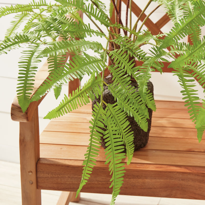 NAPA Home & Garden, FOREST FERN DROP-IN 29.5",CC347