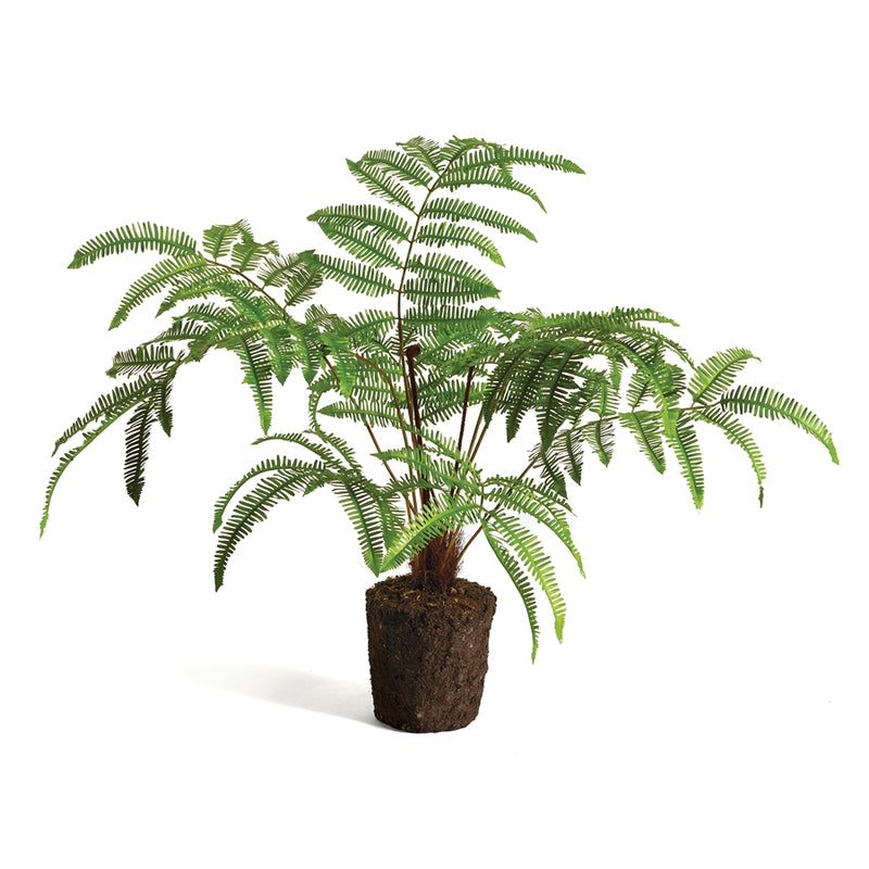 Napa Home Garden, FOREST FERN DROP-IN 29.5",cc347