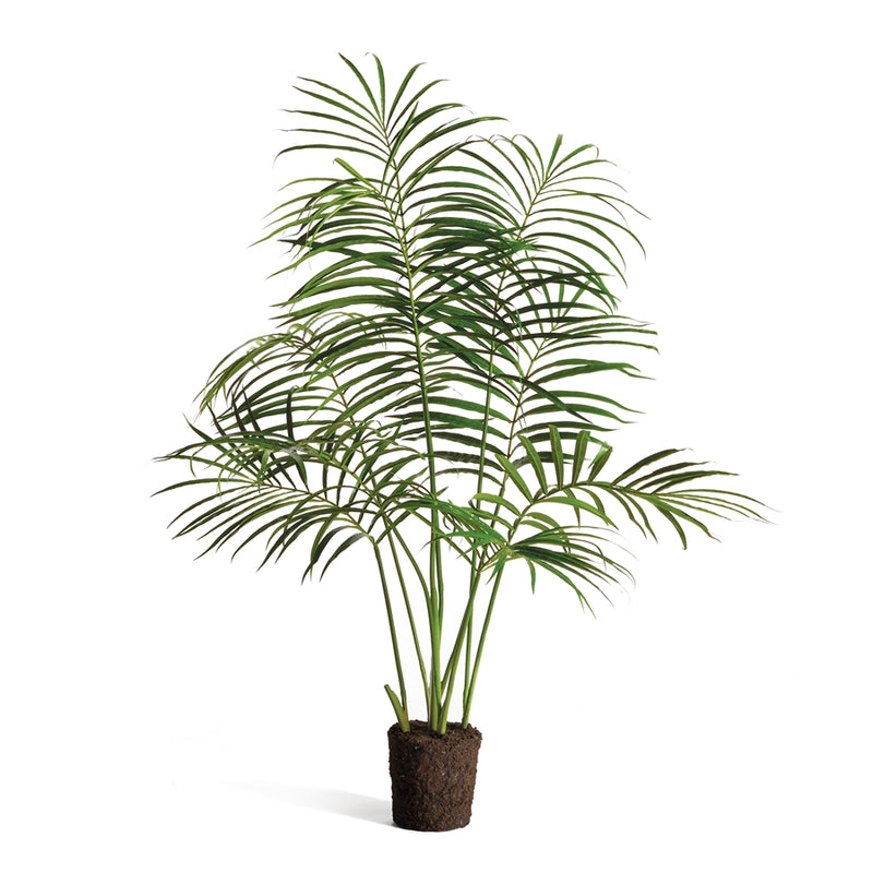 Napa Home Garden, PALM TREE DROP-IN 50",cc350