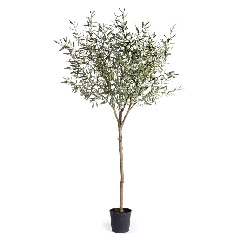 Napa Floral Collection-Olive Tree Drop-In 96 inches