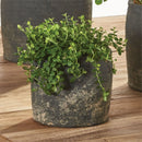 Napa Home Garden, ANTWERP 4.5" RD POT GRAYWASH,cd226