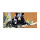 High Country Bear Family Flocked Coir Sassafras Switch Mat, Mama and Baby Bear, 22"x10"