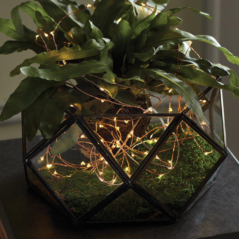 NAPA Home & Garden, NAPA NIGHT SKY LED WIRE STRING LIGHTS