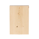 Philadelphia Eagles Plock, Down Home Fans, 8x12