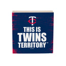 Minnesota Twins Plock, Down Home Fans, 6x6