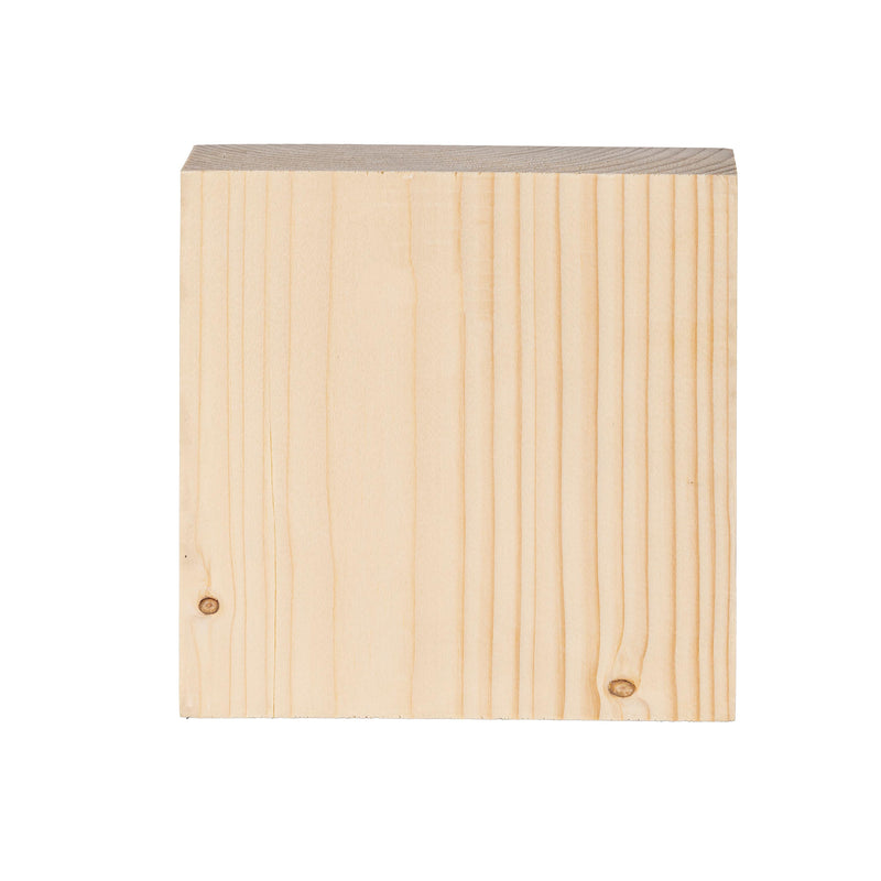 Chicago Blackhawks Plock, Down Home Fans, 6x6