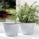 Napa Home Garden, FRANCESCA 8.5" FLORAL BUCKET,df206