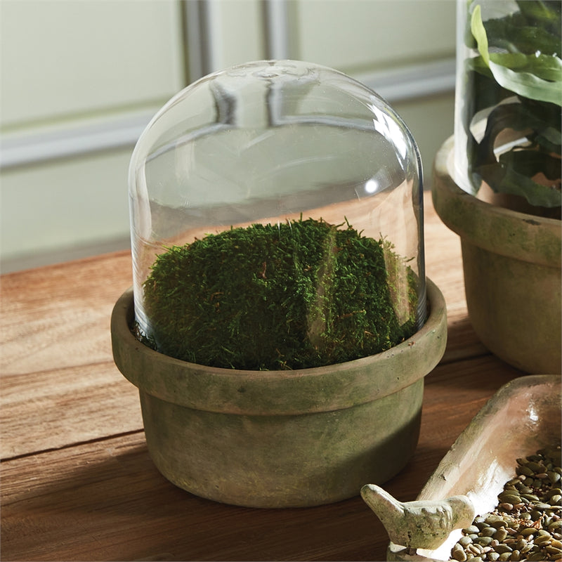 Napa Home Garden, WEATHERED GARDEN TERRARIUM SM,dg217