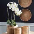 "NAPA Home & Garden, PHALAENOPSIS ORCHID DROP-IN COLLECTION"