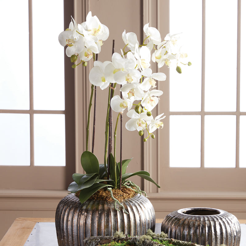 NAPA Home & Garden, PHALAENOPSIS ORCHID DROP-IN 30",DI1200