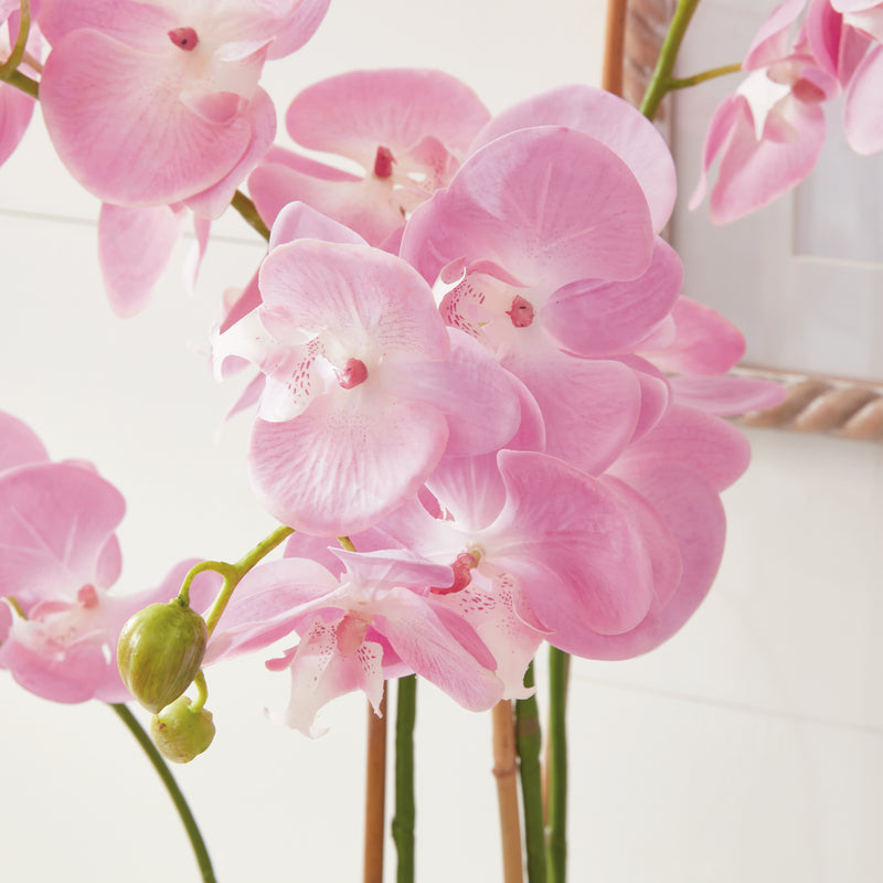 NAPA Home & Garden, PHALAENOPSIS ORCHID DROP-IN 30",DI1202P