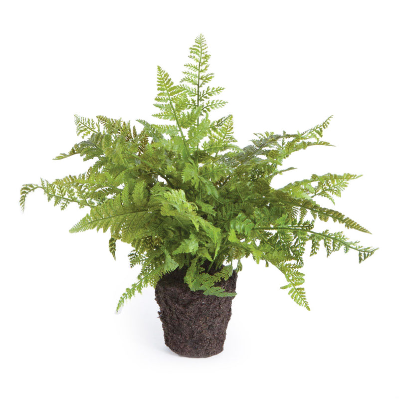 NAPA Home & Garden, SOFT FERN DROP-IN 10.5",DI1205