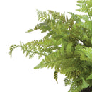 NAPA Home & Garden, SOFT FERN DROP-IN Collection