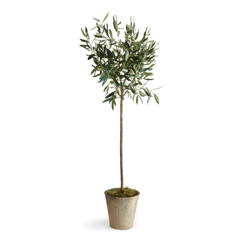 NAPA Home & Garden, OLIVE TREE POTTED 46",DI1212