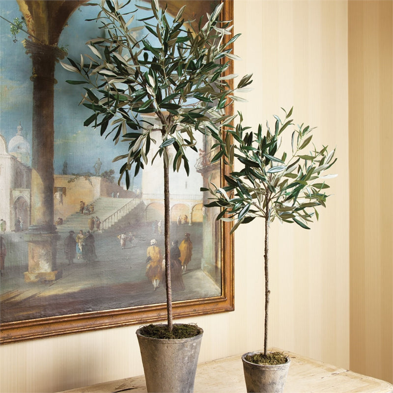 Napa Home Garden, CC 30" OLIVE TREE POTTED,di1213