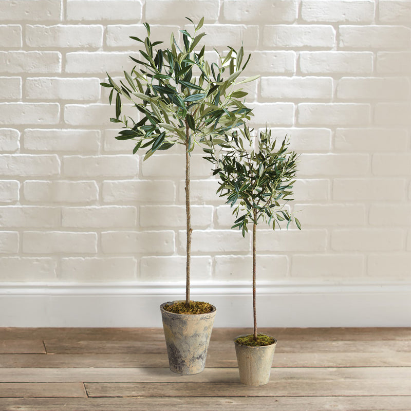 NAPA Home & Garden, OLIVE TREE POTTED 30",DI1213