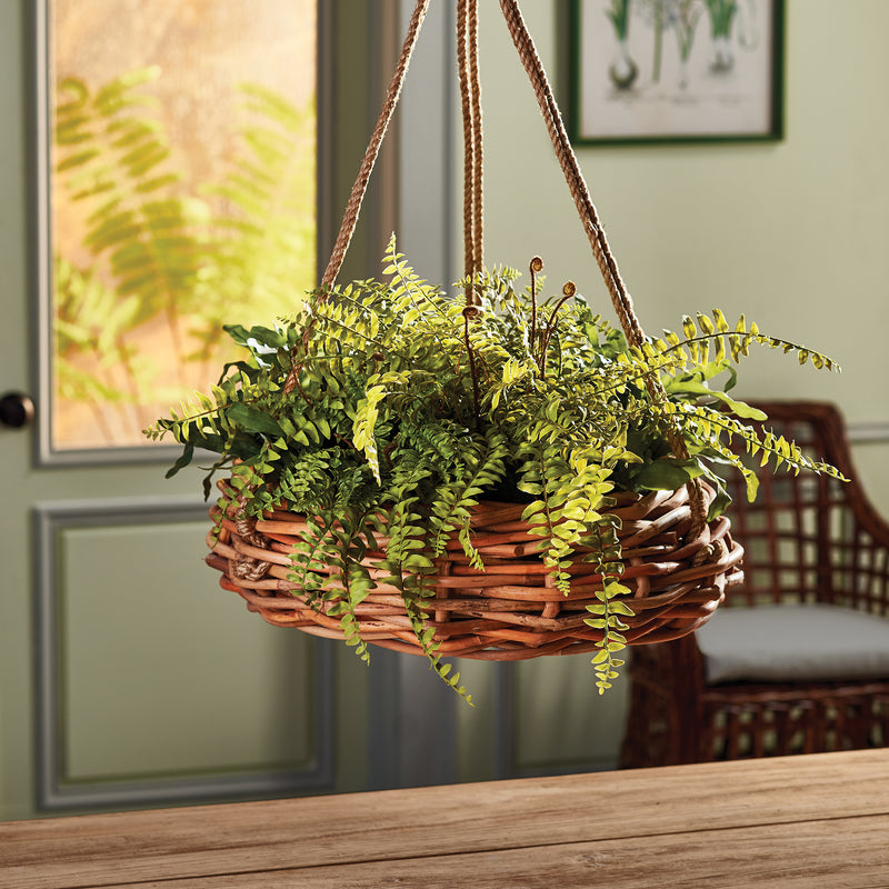 NAPA Home & Garden, BOSTON FERN RUSTIC DROP-IN 12",DI1217