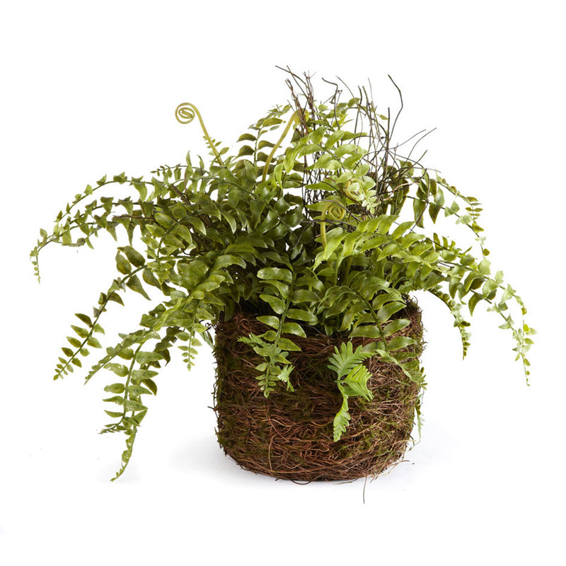 NAPA Home & Garden, BOSTON FERN RUSTIC DROP-IN 12",DI1217