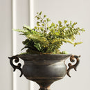 NAPA Home & Garden, MIXED FERN DROP-IN 8",DI1218